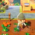 Animal Crossing: New Horizons